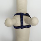 Шлейка рельефная 36-49×1.5 см, сине-чёрная - Фото 5