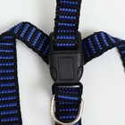 Шлейка рельефная 36-49×1.5 см, сине-чёрная - Фото 6