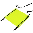 Координационная лестница ONLYTOP, 6 м, толщина 4 мм, цвет салатовый - Фото 1