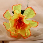 Цветы искусственные "Бегония криспа" d-11 см h-27 см, жёлтый - Фото 2