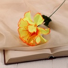 Цветы искусственные «Бегония криспа», h=27 см, d=11 см, жёлтые 9351773