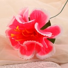 Цветы искусственные «Бегония криспа», h=27 см, d=11 см, ярко-розовые 9351774