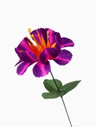 Цветы искусственные «Бегония криспа», h=27 см, d=11 см, сиреневые 9351775