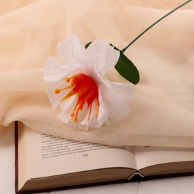 Цветы искусственные «Бегония криспа», h=27 см, d=11 см, белые (комплект 10 шт)