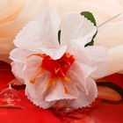 Цветы искусственные "Бегония криспа" 11 см, белый (10 шт) - фото 809225050