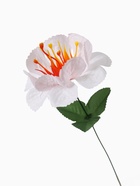 Цветы искусственные "Бегония криспа" 11 см, белый (10 шт) - фото 809225052