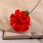 Цветы искусственные «Бегония криспа», h=27 см, d=11 см, красные 9351777