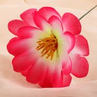 Цветы искусственные "Одиночка криспа" d-11 см h-20 см, розовый - Фото 2