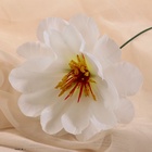 Цветы искусственные "Одиночка криспа" 11 см, белый (10 шт) - фото 809173729