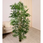 Дерево искусственное "Бамбук тропический" 180 см - фото 319286070