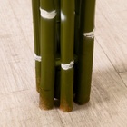 Дерево искусственное «Бамбук тропический», h=180 см - Фото 5