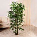 Дерево искусственное "Бамбук тропический" 150 см - фото 10274716