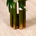 Дерево искусственное «Бамбук тропический», h=150 см - Фото 5