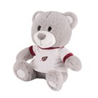 Мягкая игрушка «Медвежонок в футболочке», 23 см - фото 319286146