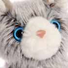 Мягкая игрушка «Котик сибирский», 19 см - Фото 5