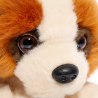 Мягкая игрушка «Собака сенбернар лежачий», 20 см - фото 24597386