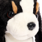 Мягкая игрушка «Собака зенненхунд», 20 см - фото 24597390