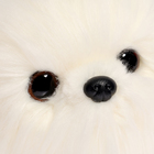 Мягкая игрушка «Собака Бишон», 20 см - Фото 5