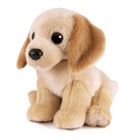 Мягкая игрушка «Собака лабрадор», 20 см - фото 26656110