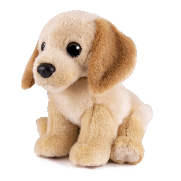 Мягкая игрушка «Собака лабрадор», 20 см - Фото 1