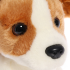 Мягкая игрушка «Собака Джек-Рассел», 20 см - фото 24588332