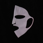Силиконовая маска для лица, 22 × 28 см, цвет МИКС - Фото 4