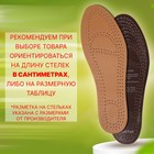 Стельки для обуви, универсальные, антибактериальные, влаговпитывающие, р-р RU до 46 (р-р Пр-ля до 47), 29 см, пара, цвет бежевый - фото 8173938