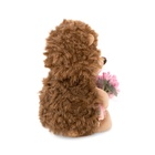 Мягкая игрушка «Ёжик Колюнчик: Розовые мечты», 15 см - Фото 4