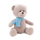 Мягкая игрушка «Медведь Топтыжкин серый: в шарфике», 25 см - фото 10275654