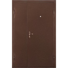 Дверь входная "Профи" металл/металл 2050х1250 (левая)