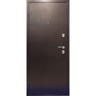 Дверь входная в квартиру «Титан», 2050×960 мм, левая, металл/металл, цвет антик медь - Фото 3