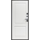 Дверь входная "Винтер" 100 Белый артик 2050х880 (левая) - Фото 2