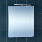 Зеркало-шкаф СаНта «Стандарт 60», со светом - фото 295705722