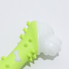 Игрушка двухслойная (твердый и мягкий пластик) "Кость", 12 см, зелёная - фото 6820074