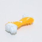 Игрушка двухслойная (твердый и мягкий пластик) "Кость", 12 см, жёлтая - фото 6820076