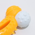 Игрушка двухслойная (твердый и мягкий пластик) "Изогнутая кость", 13 см желтая - Фото 4