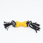 Игрушка канатная с косточкой, до 105 г, до 25 см, чёрно-жёлтая серия - Фото 2