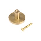 Ручка-кнопка CAPPIO, d=33 мм, h=20 мм, латунь, цвет золото - фото 25351122