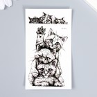 Татуировка на тело чёрная "Кошачьи игры" 10,5х6 см - фото 319818194