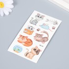 Татуировка на тело цветная "Домашний питомец. Котики" 12х7,5 см 9323580 - фото 16418095