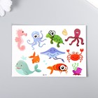 Татуировка на тело цветная "Жители морских глубин" 11,5х8 см, МИКС (комплект 12 шт) - фото 23103373