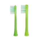 Детская электрическая зубная щетка Luazon LP-008, вибр., 31000 дв/мин, 2 насадки, 1×АА, зелёная - Фото 7