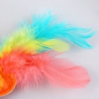 Дразнилка из фетра «Рыбка», 6.4×4.8 см - Фото 5