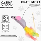 Дразнилка из фетра «Мышка», 7.8×3.1 см - Фото 1