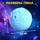 Раскопки «Тайна планеты» - Фото 5