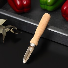 Овощечистка «Традиционная», 14,5×2 см, с деревянной ручкой