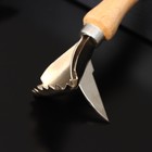 Рыбочистка с ножом для вспарывания «Традиционная», 16×5 см, с деревянной ручкой - Фото 2