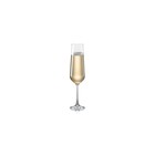 Набор бокалов для шампанского Tescoma Giorgio, 200 мл, 6 шт - фото 291544033