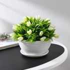 Горшок для цветов с поддоном «Алиса», 1 л, d=17 см, h=10 см, пластиковый, белый - Фото 1