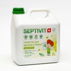 Средство для стёкол SEPTIVIT "GREEN APPLE", 3 л 9406398 - фото 4103048